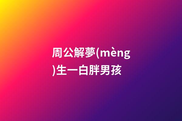 周公解夢(mèng)生一白胖男孩 (做夢(mèng)生了個(gè)白白胖胖的男孩)-第1張-觀點(diǎn)-玄機(jī)派